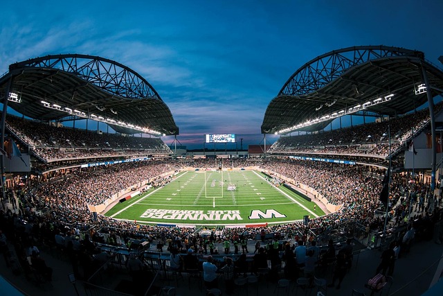 他快速融入 他快速融入