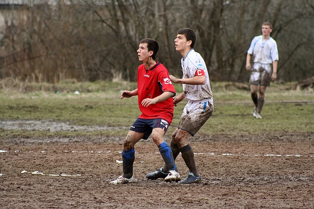 显而易见的 显而易见的